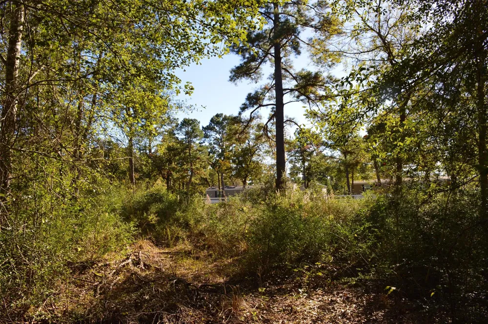 10 County Road 302 Plantersville, TX 77363