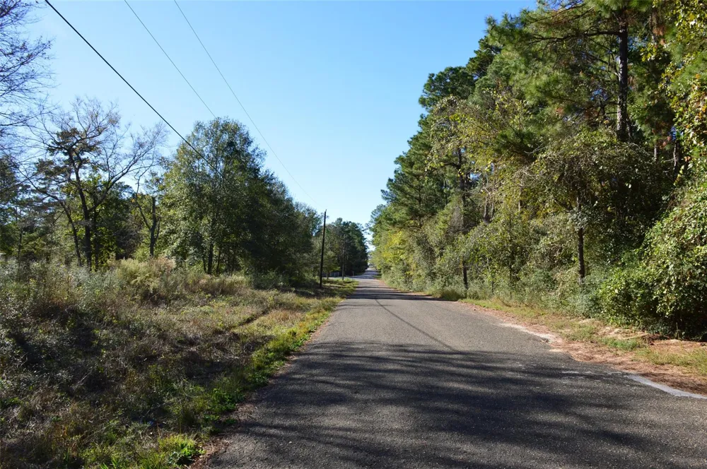 10 County Road 302 Plantersville, TX 77363