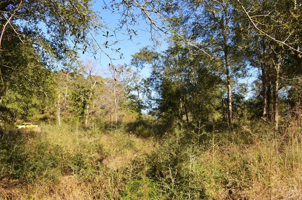 10 County Road 302 Plantersville, TX 77363