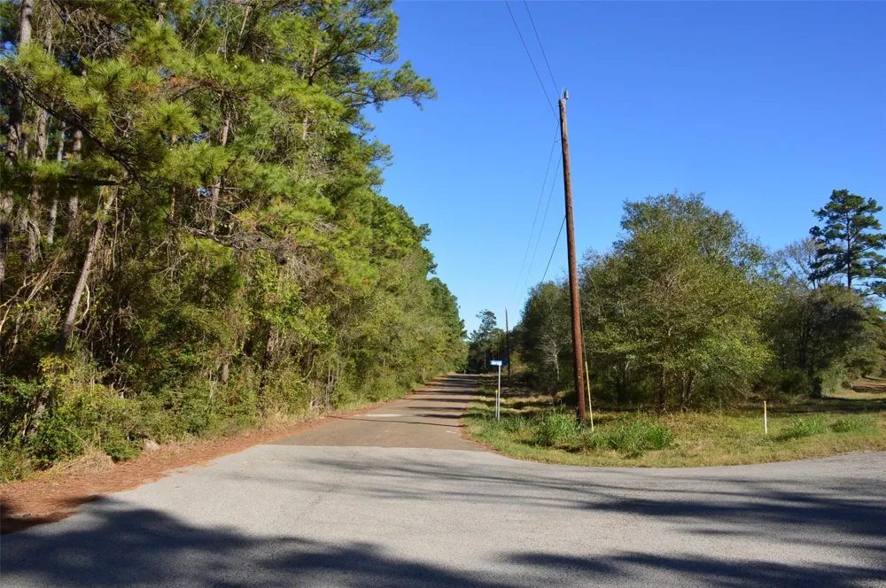 10 County Road 302 Plantersville, TX 77363