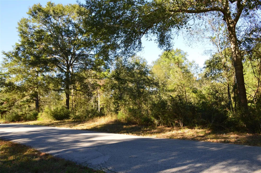10 County Road 302 Plantersville, TX 77363