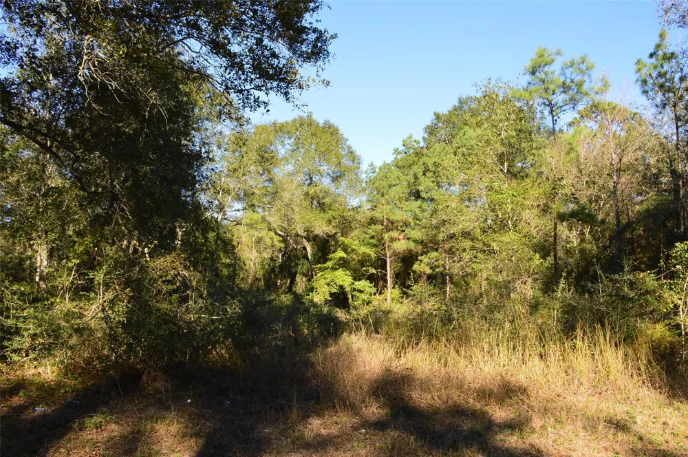 10 County Road 302 Plantersville, TX 77363