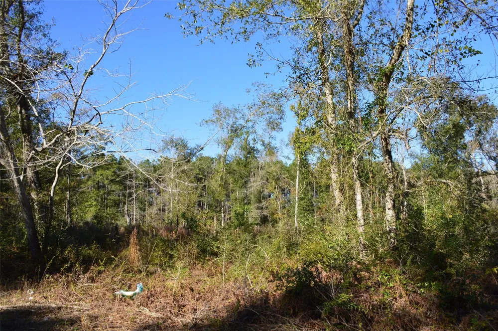 10 County Road 302 Plantersville, TX 77363