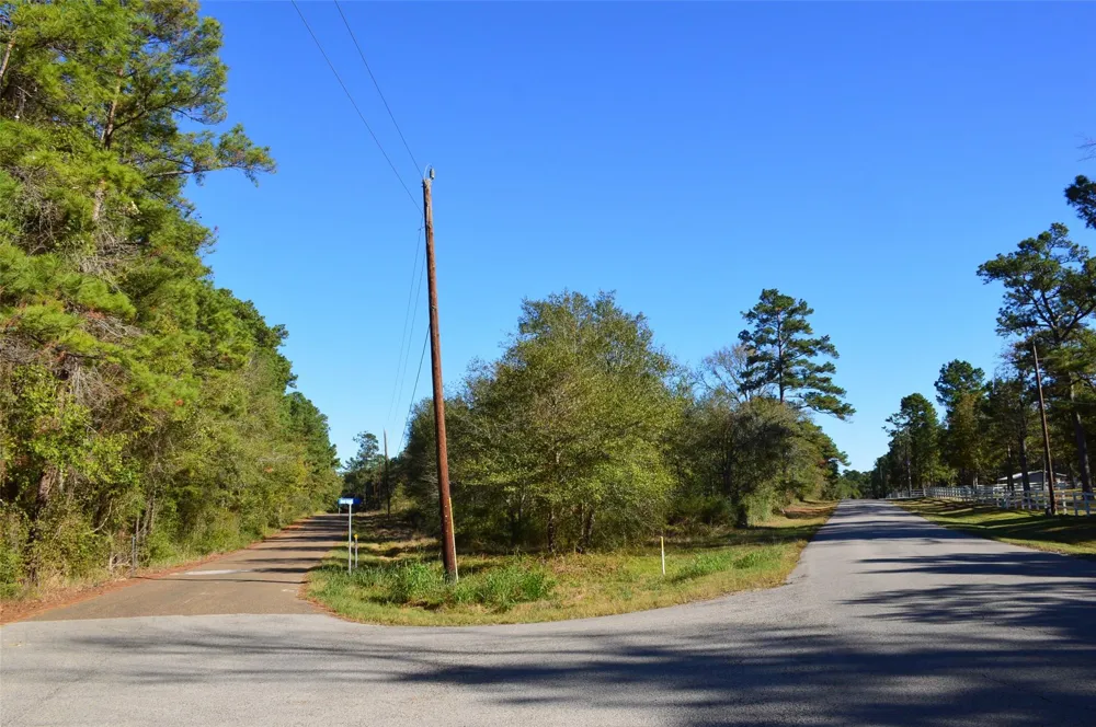 10 County Road 302 Plantersville, TX 77363