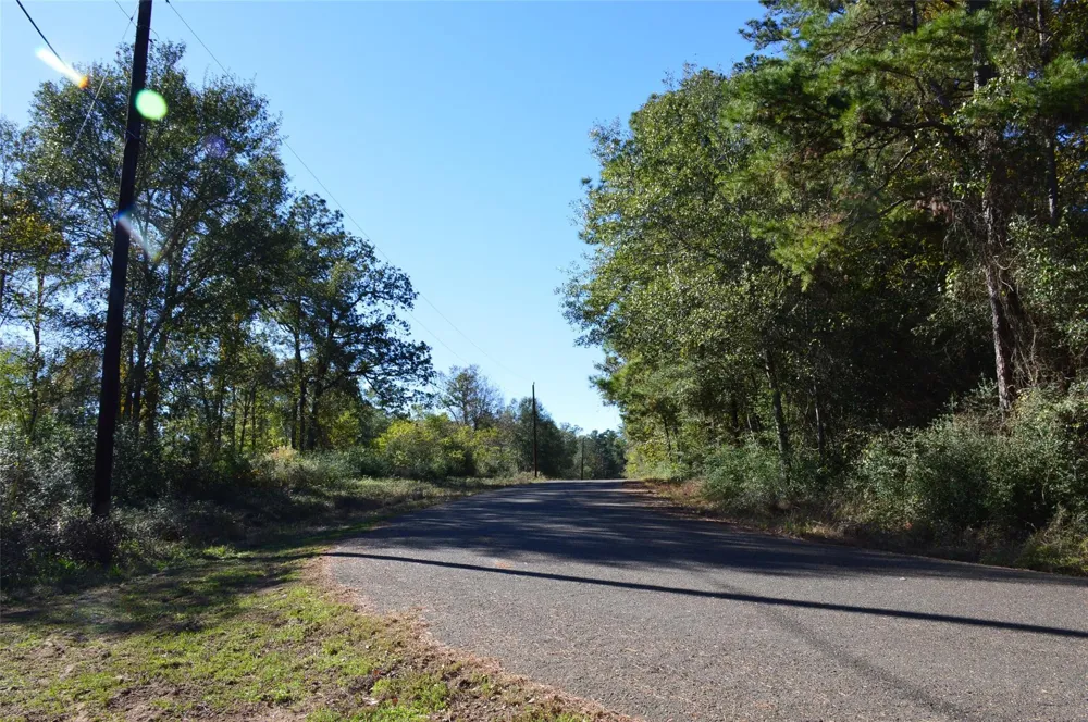10 County Road 302 Plantersville, TX 77363