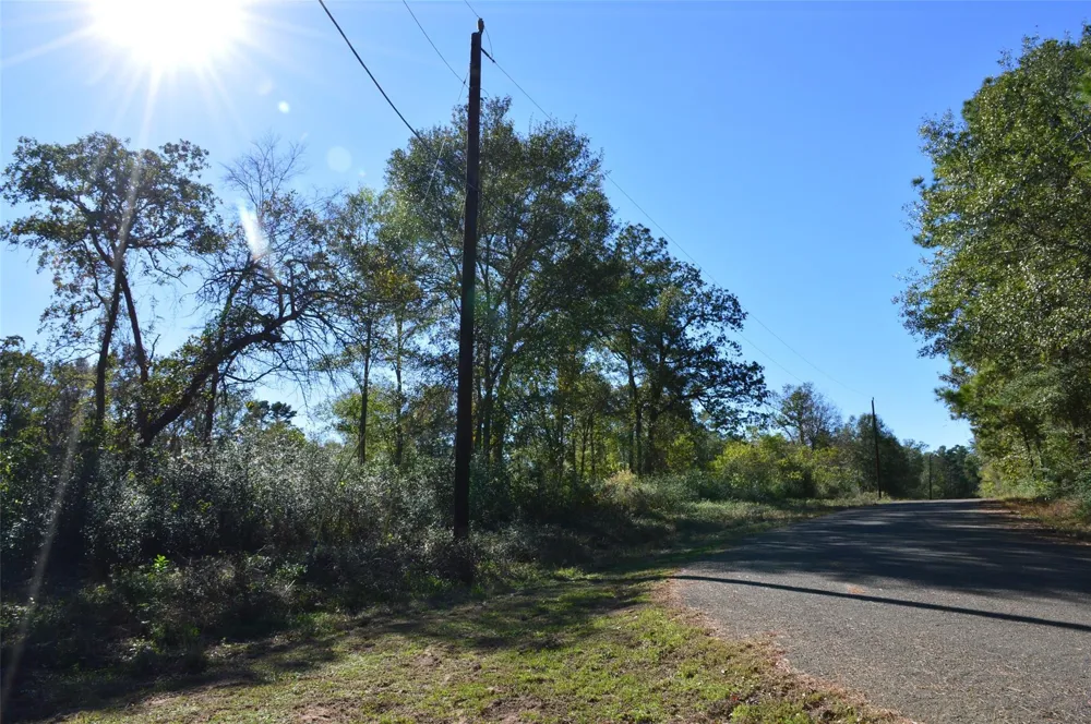 10 County Road 302 Plantersville, TX 77363