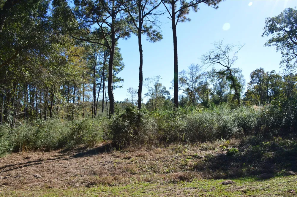 10 County Road 302 Plantersville, TX 77363