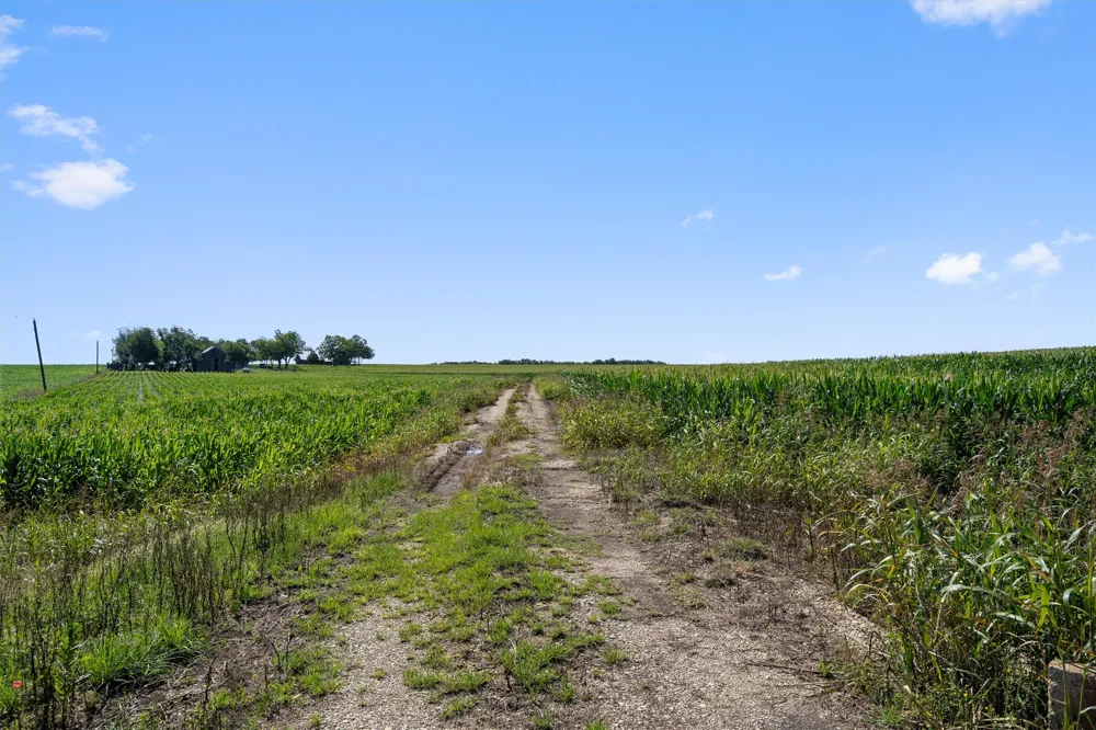 1701 County Road 424 Taylor, TX 76574