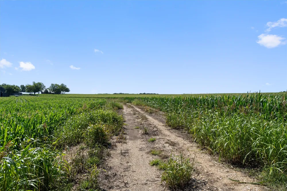 1701 County Road 424 Taylor, TX 76574