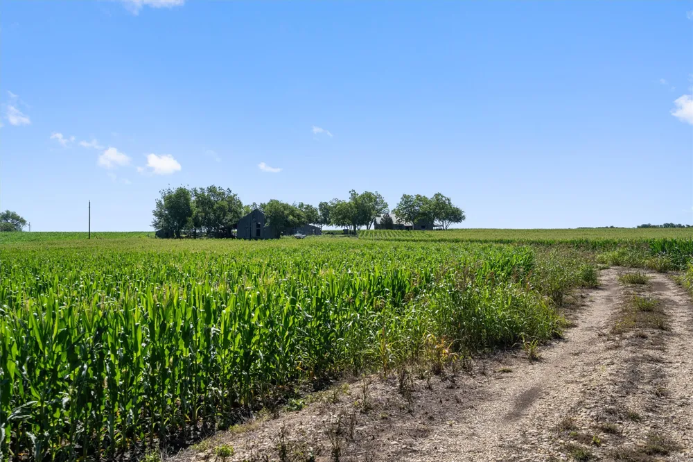 1701 County Road 424 Taylor, TX 76574