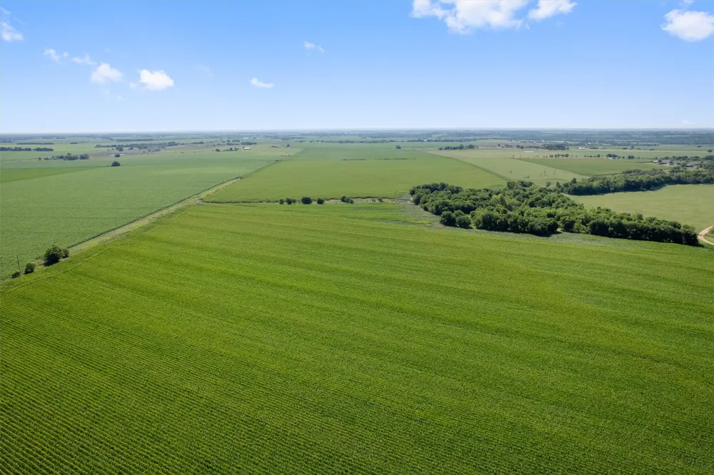 1701 County Road 424 Taylor, TX 76574