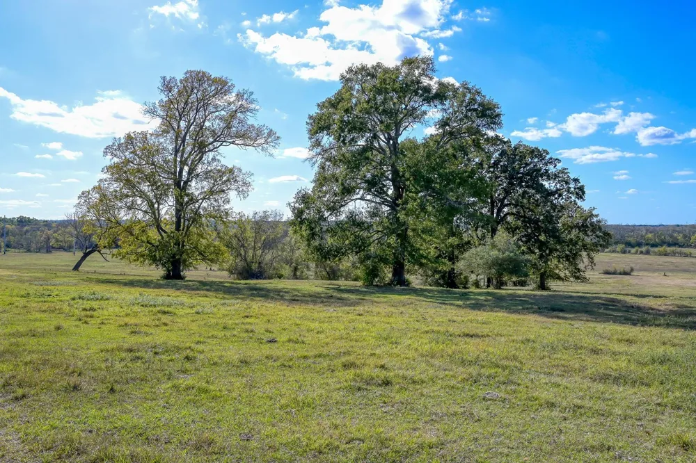 125 Spring Branch Road Montgomery, TX 77316
