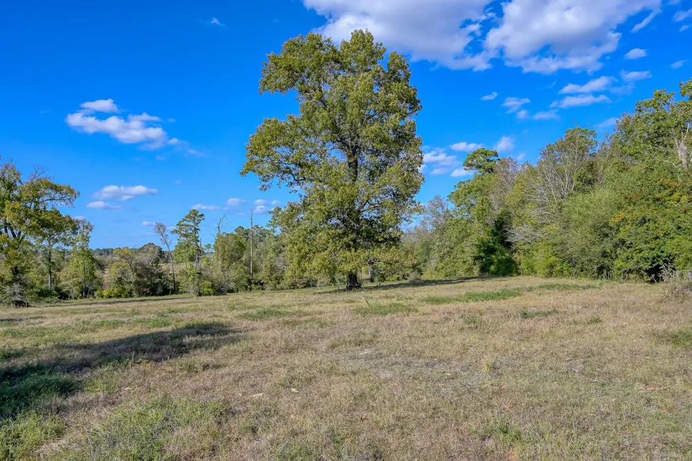 125 Spring Branch Road Montgomery, TX 77316