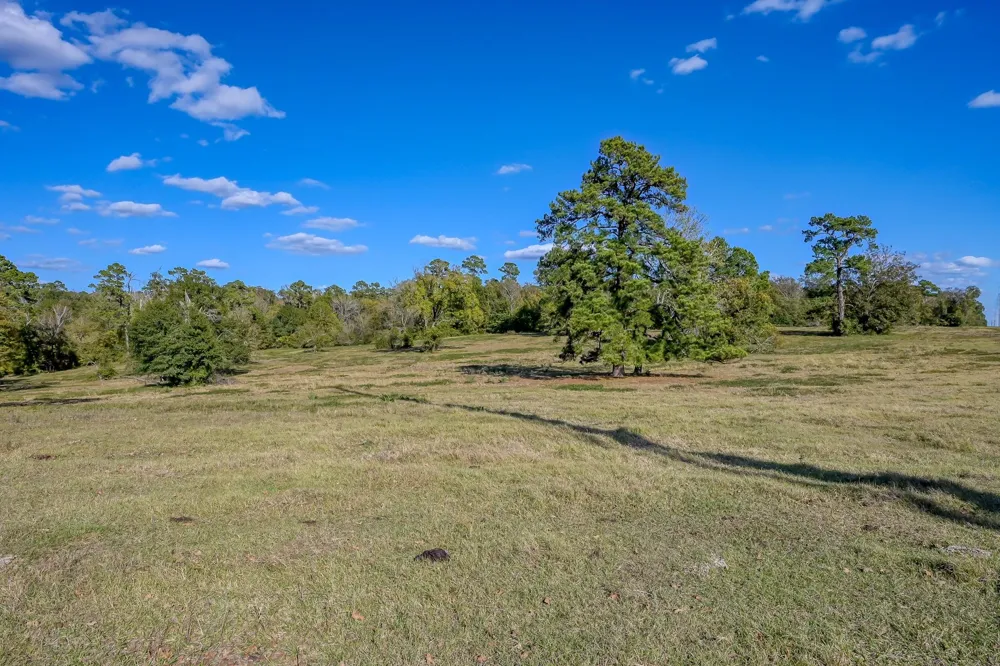 125 Spring Branch Road Montgomery, TX 77316