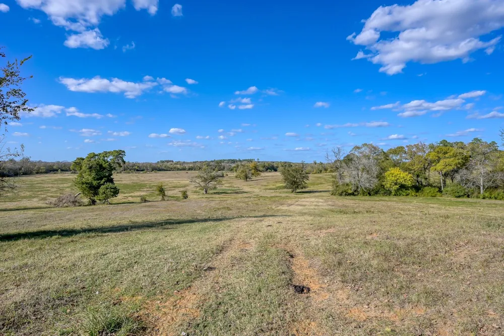 125 Spring Branch Road Montgomery, TX 77316