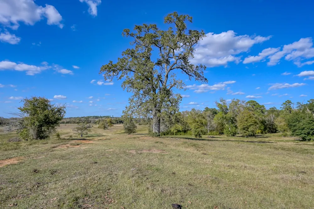 125 Spring Branch Road Montgomery, TX 77316