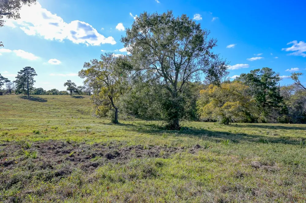 125 Spring Branch Road Montgomery, TX 77316