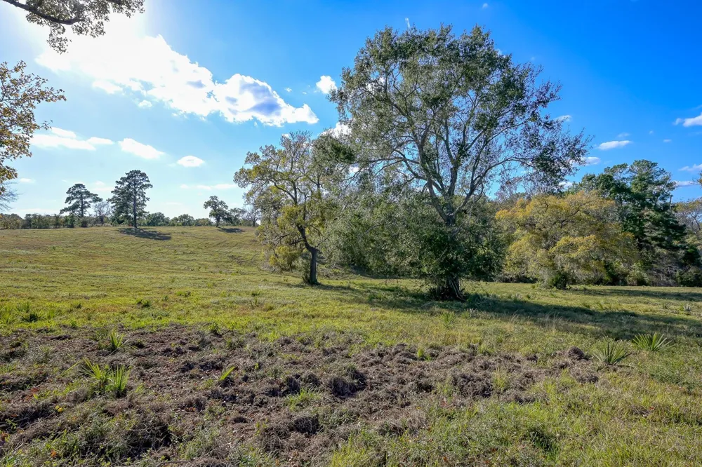 125 Spring Branch Road Montgomery, TX 77316