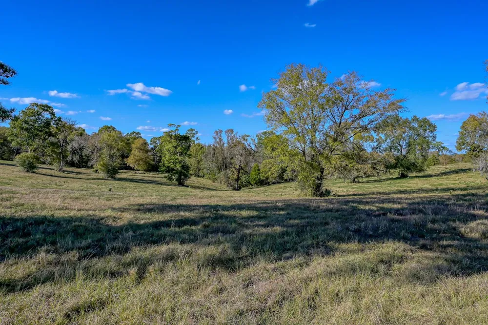 125 Spring Branch Road Montgomery, TX 77316