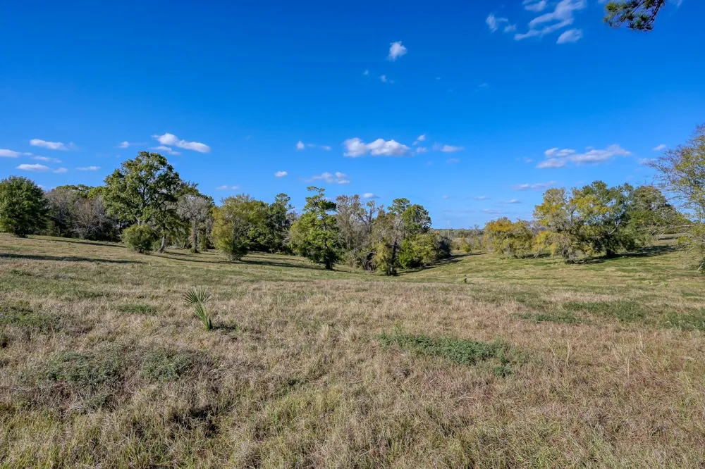125 Spring Branch Road Montgomery, TX 77316
