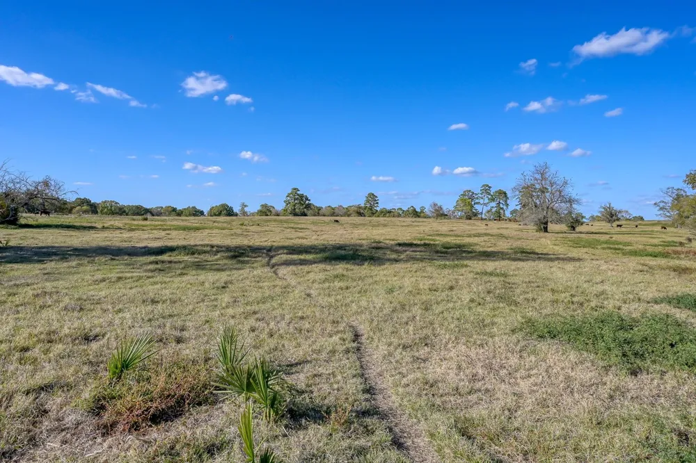 125 Spring Branch Road Montgomery, TX 77316