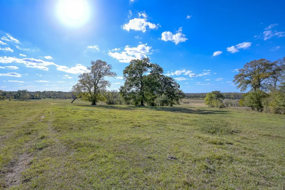 125 Spring Branch Road Montgomery, TX 77316