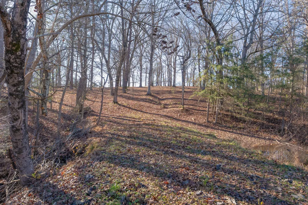 698 Payne Chapel Road Lookout Mountain, GA 30750