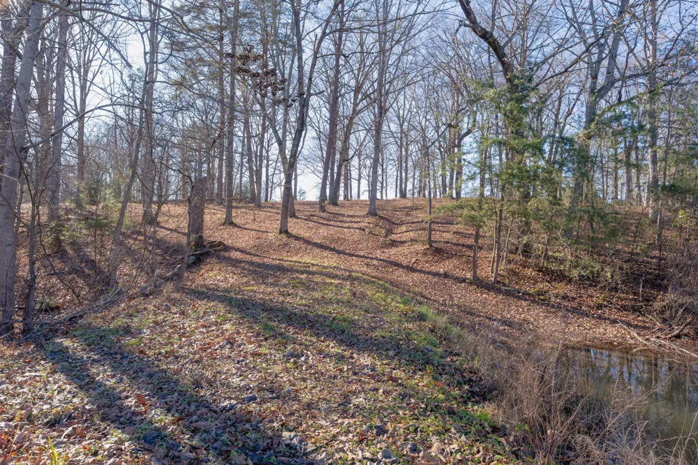 698 Payne Chapel Road Lookout Mountain, GA 30750
