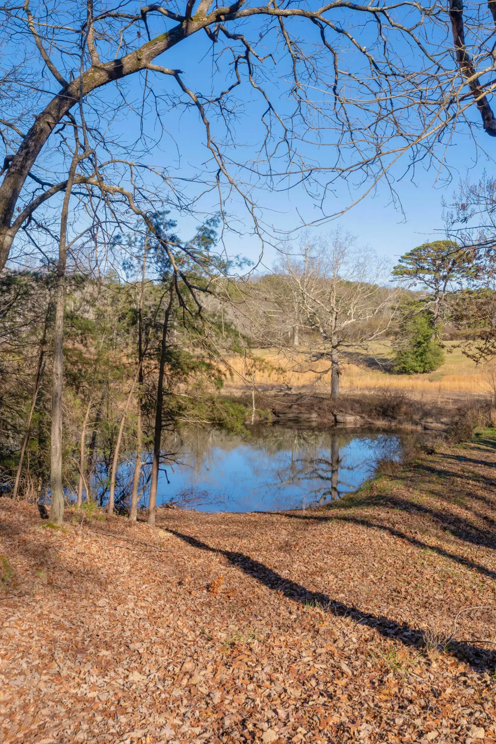 698 Payne Chapel Road Lookout Mountain, GA 30750