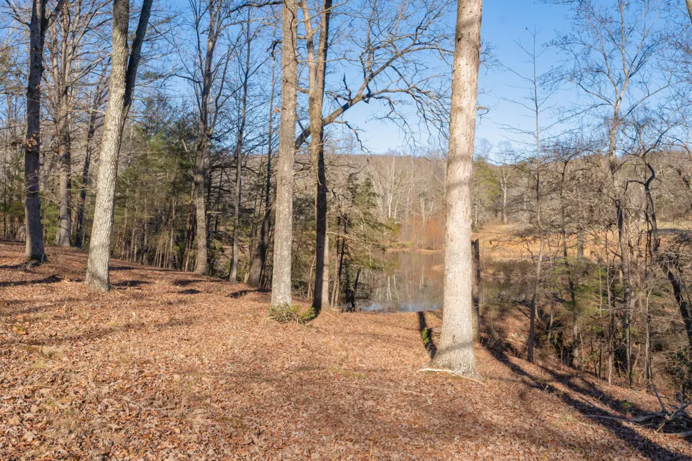 698 Payne Chapel Road Lookout Mountain, GA 30750