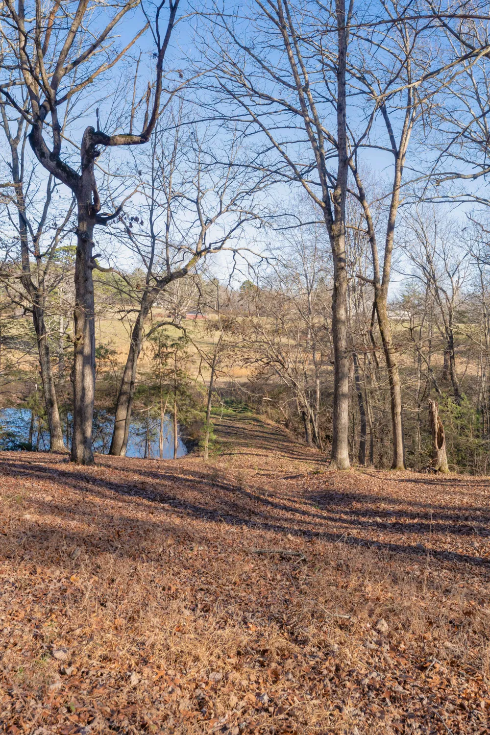 698 Payne Chapel Road Lookout Mountain, GA 30750