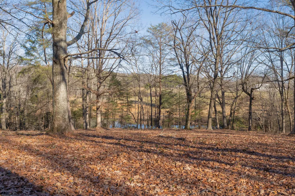 698 Payne Chapel Road Lookout Mountain, GA 30750