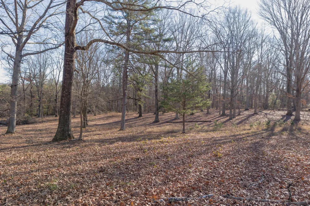 698 Payne Chapel Road Lookout Mountain, GA 30750