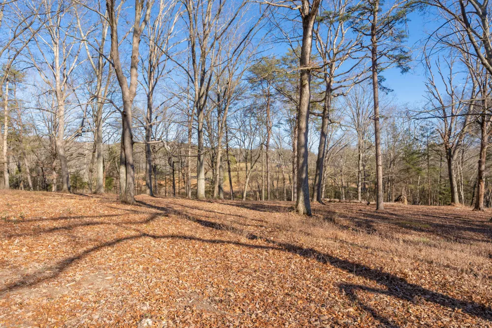 698 Payne Chapel Road Lookout Mountain, GA 30750