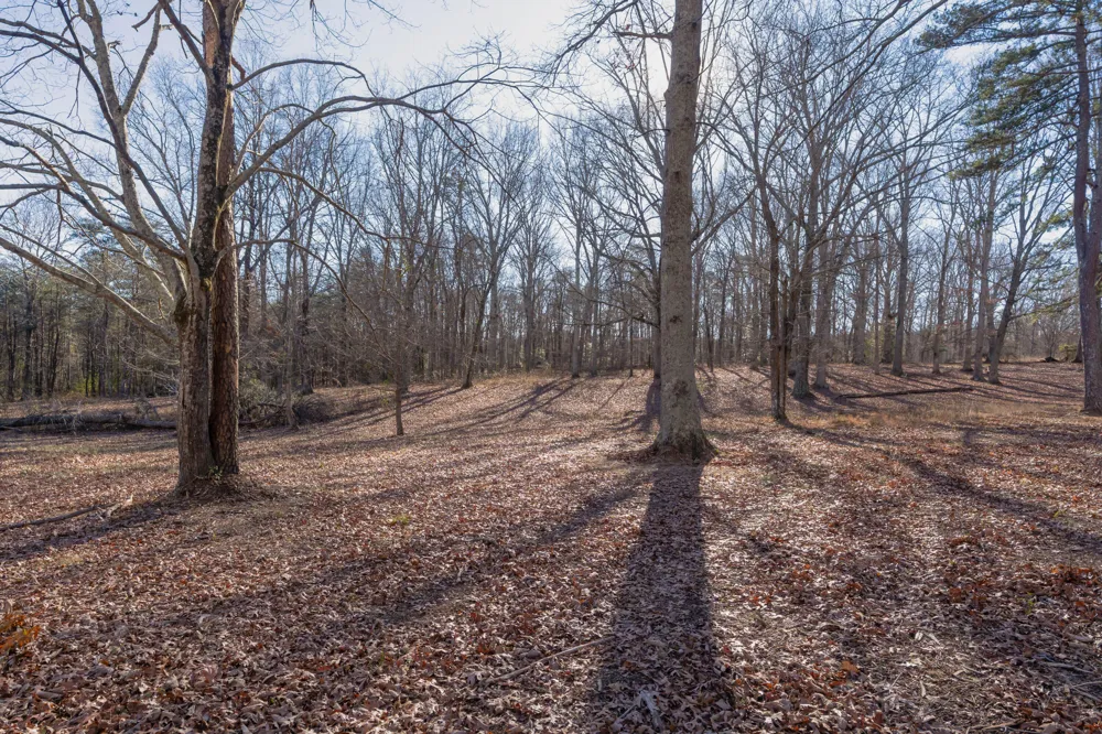698 Payne Chapel Road Lookout Mountain, GA 30750