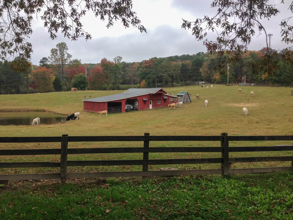 698 Payne Chapel Road Lookout Mountain, GA 30750