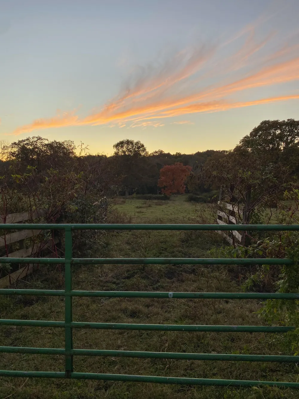 698 Payne Chapel Road Lookout Mountain, GA 30750