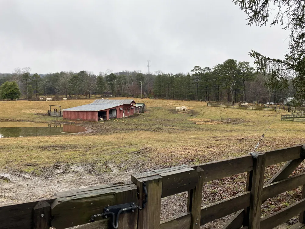 698 Payne Chapel Road Lookout Mountain, GA 30750