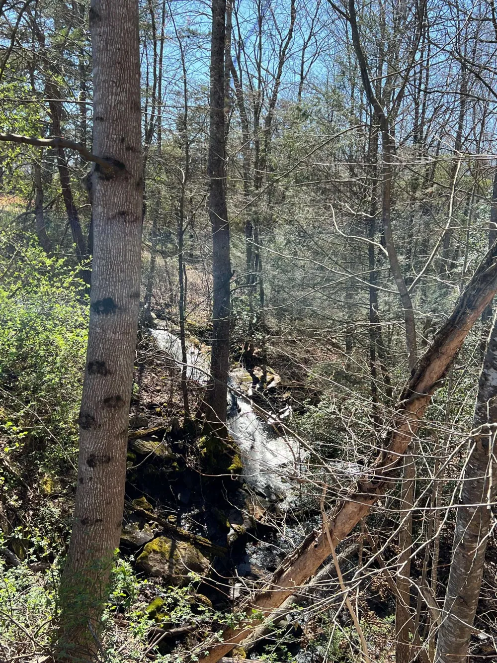 698 Payne Chapel Road Lookout Mountain, GA 30750