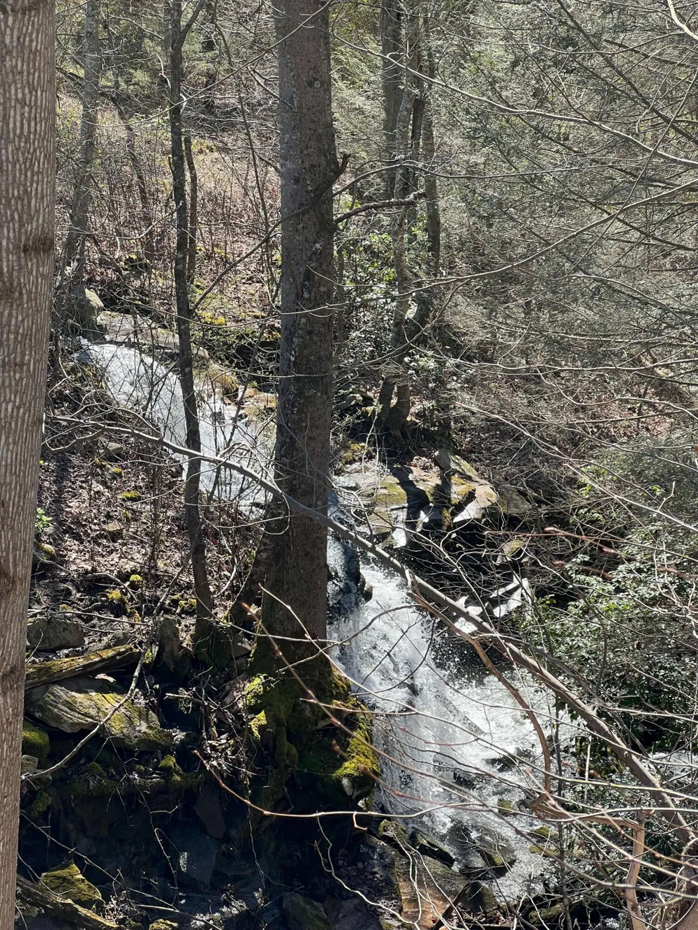 698 Payne Chapel Road Lookout Mountain, GA 30750
