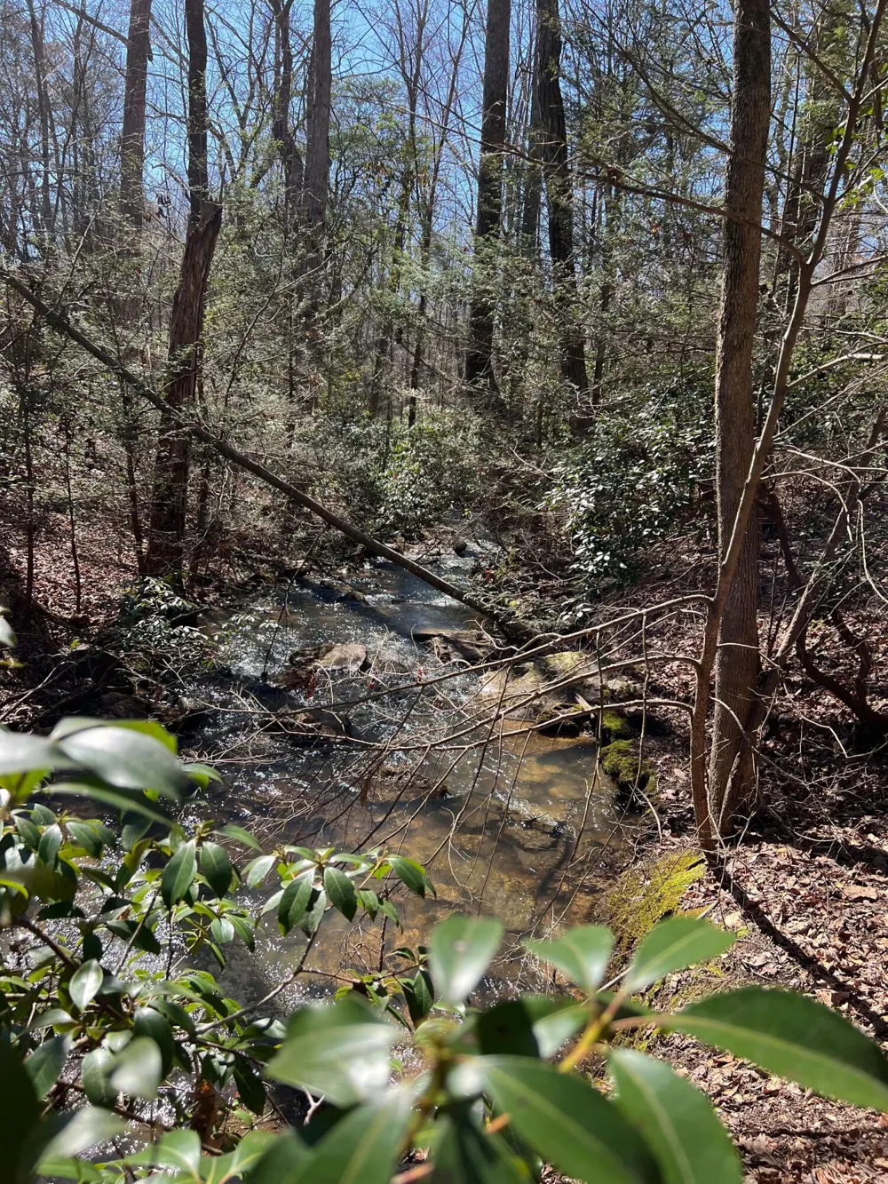 698 Payne Chapel Road Lookout Mountain, GA 30750