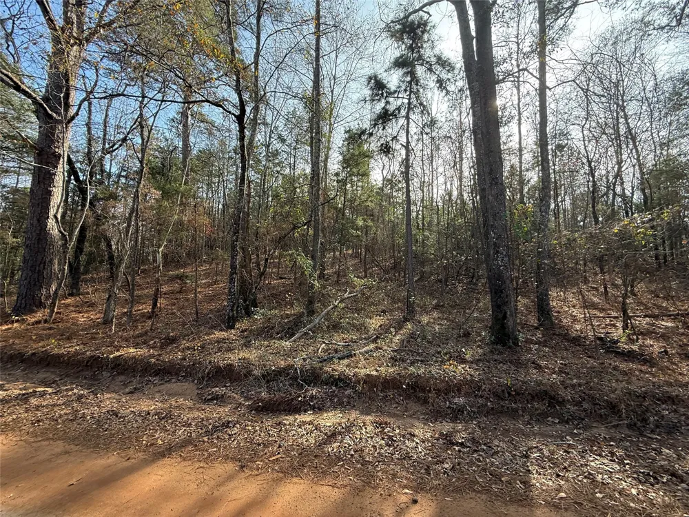 CR 2733 Marietta, TX 75566