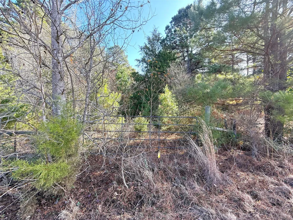 FM 2888 Marietta, TX 75566