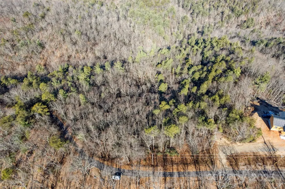 5241 pine ridge Drive Connelly Springs, NC 28612