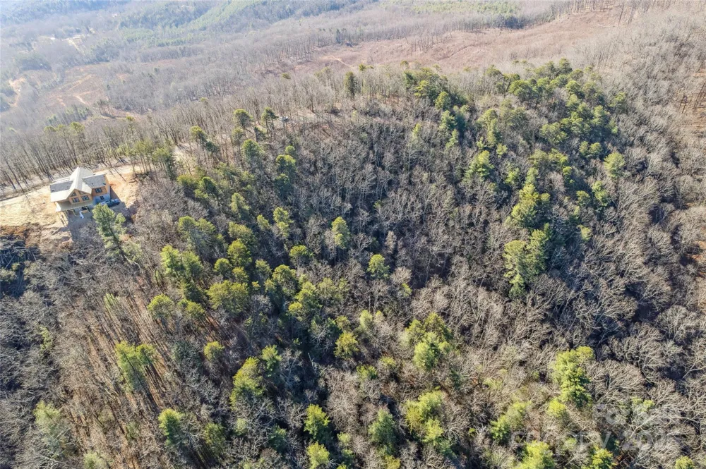 5241 pine ridge Drive Connelly Springs, NC 28612