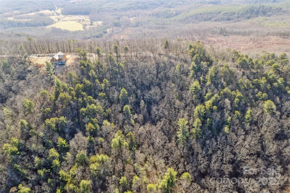 5241 pine ridge Drive Connelly Springs, NC 28612