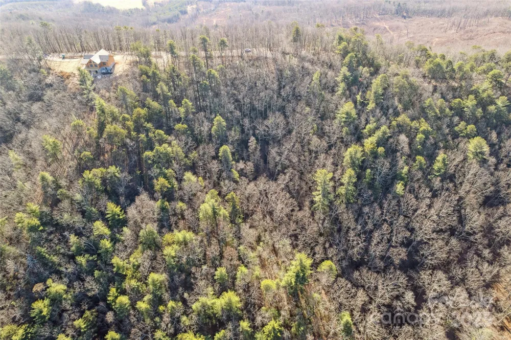 5241 pine ridge Drive Connelly Springs, NC 28612