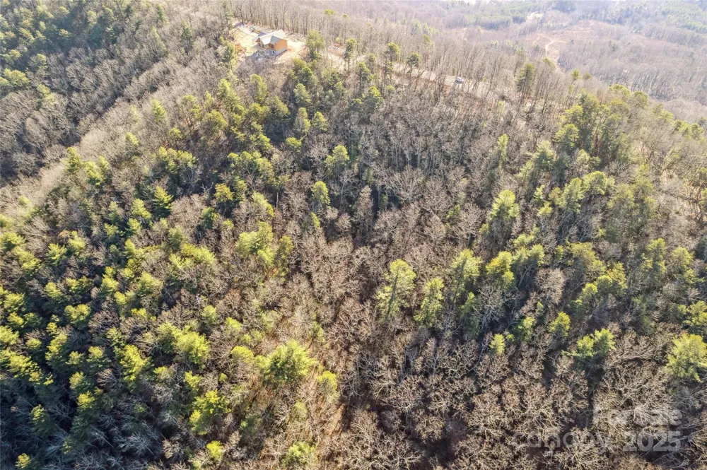 5241 pine ridge Drive Connelly Springs, NC 28612