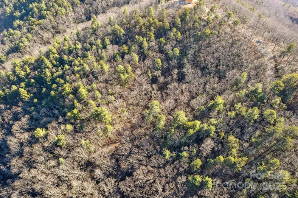 5241 pine ridge Drive Connelly Springs, NC 28612