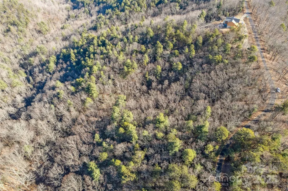 5241 pine ridge Drive Connelly Springs, NC 28612